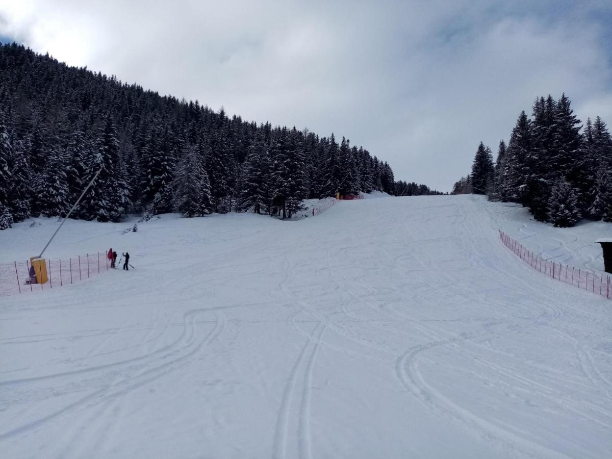 Comodo Alloggio Con Accesso Diretto Alle Piste Santa Caterina Valfurva Exterior photo